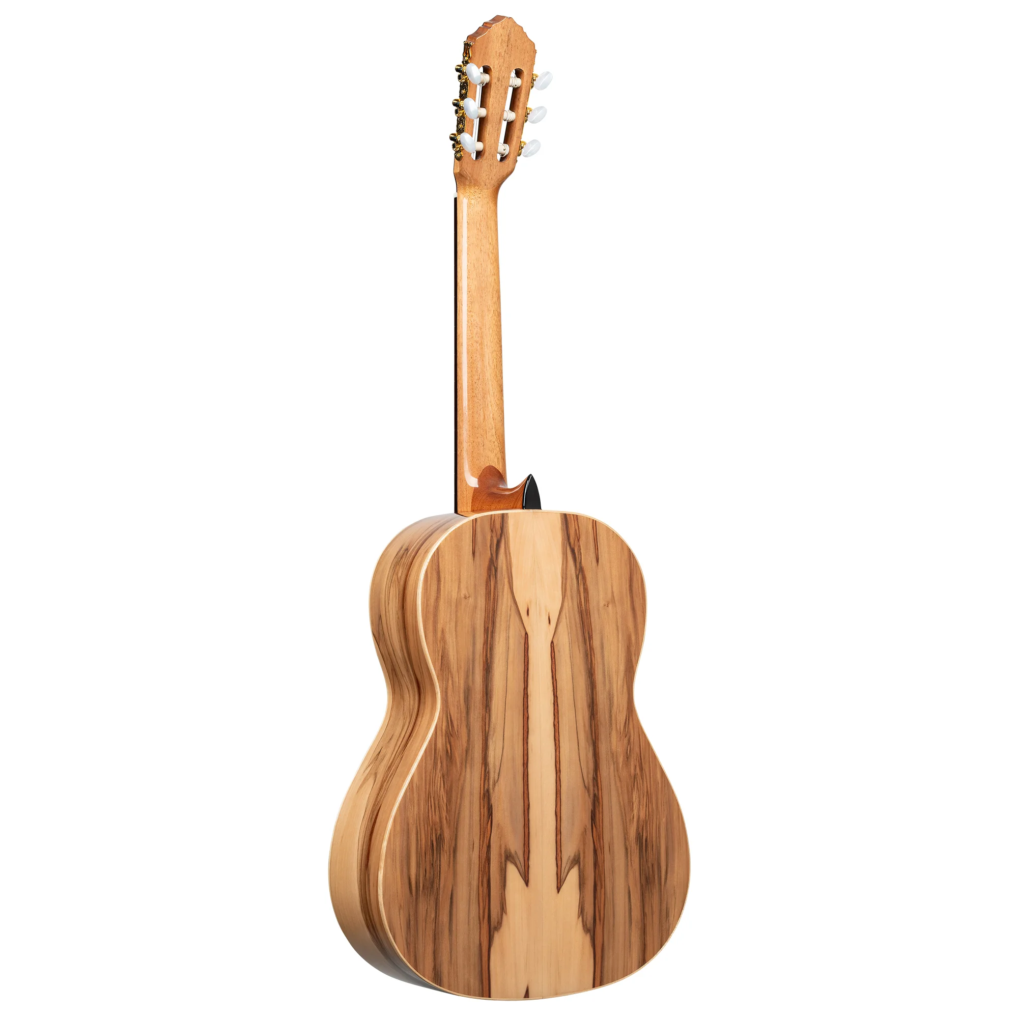 R20GSNRG Classical Guitar